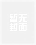 c级向导的上位（np
